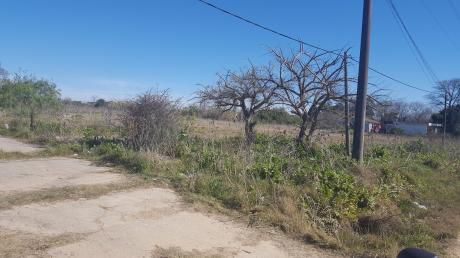 Venta De Terreno En Los Aromos, 7.000 M2, PrÓximo A Ruta 8