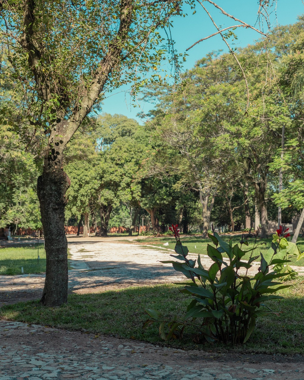 SAN BER terrenos desde 28130 Us, Mejor Precio de Lotes en todo San Ber — foto 2
