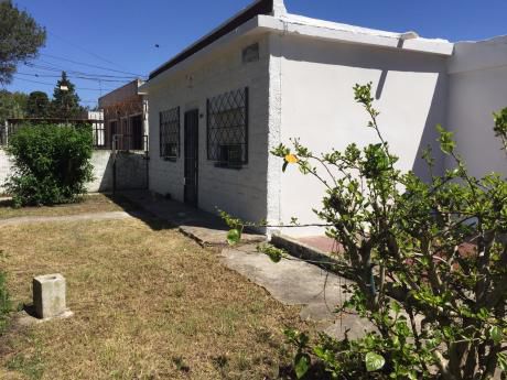Alquiler Casa Malvin Norte Delgado Y Rambla ConcepciÓn Del Uruguay