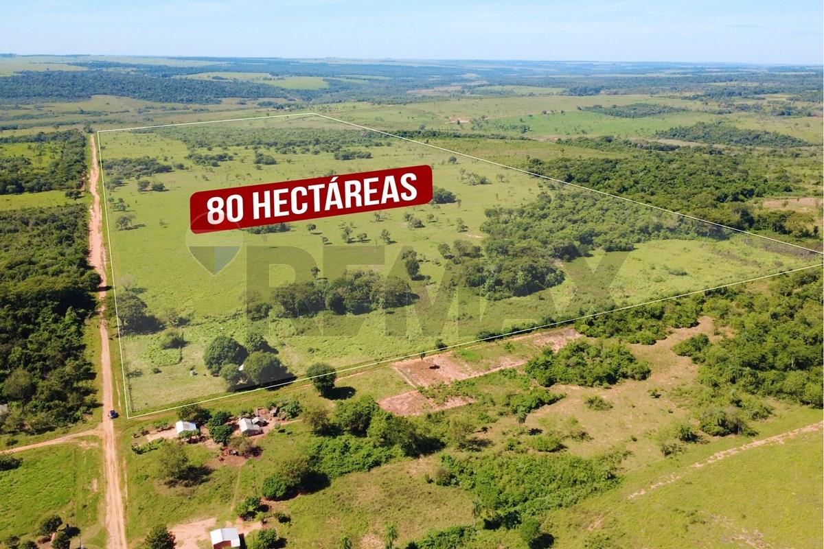 Finca Agrícola - Venta - San Estanislao, San Pedro, Paraguay — foto 3