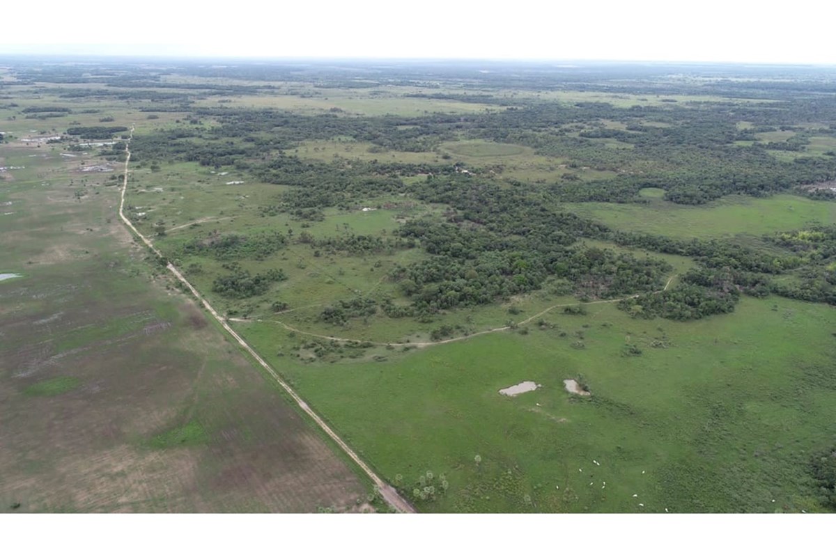 Finca Agrícola-Venta- Belén, Concepción — foto 3