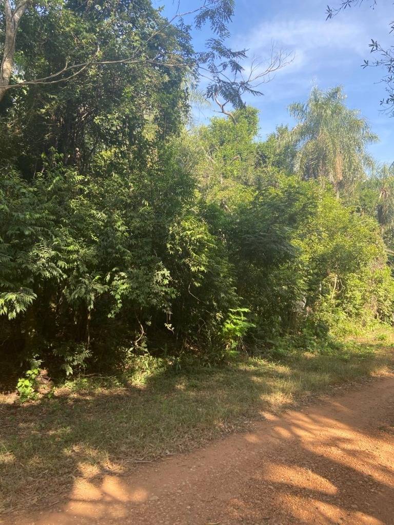 VENTA DE TERRENO EN EL CORTIJO  SAN BERNARDINO — foto 3