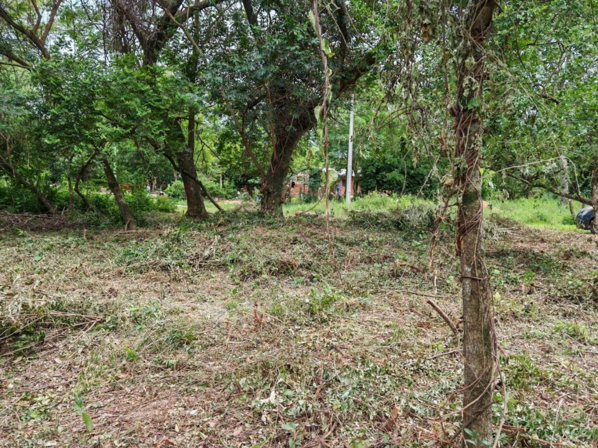 Terreno en venta a 2 cuadras de la ruta San Bernardino — foto 3