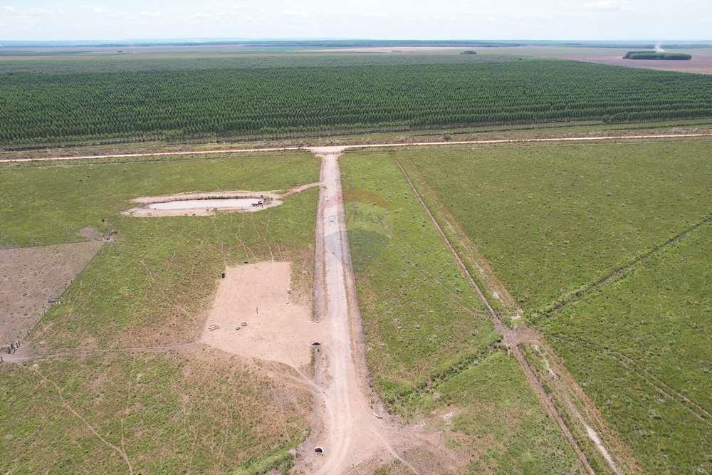 Venta Campo Agrícola y forestal. 1098 Hectáreas — foto 3