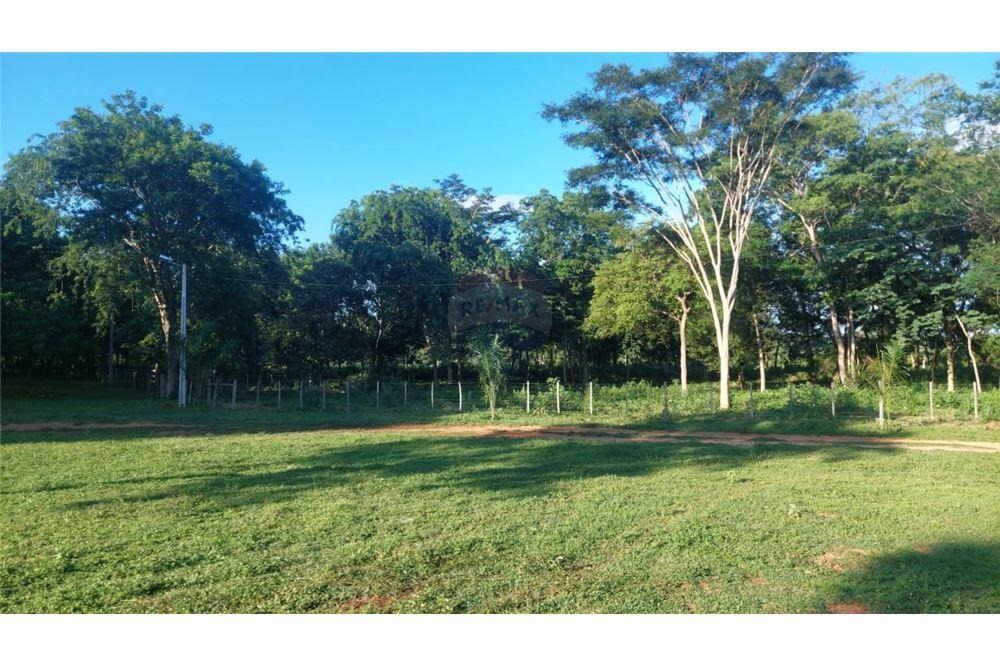 VENDO CONFINAMIENTO GANADERO EN CONCEPCIÓN — foto 3