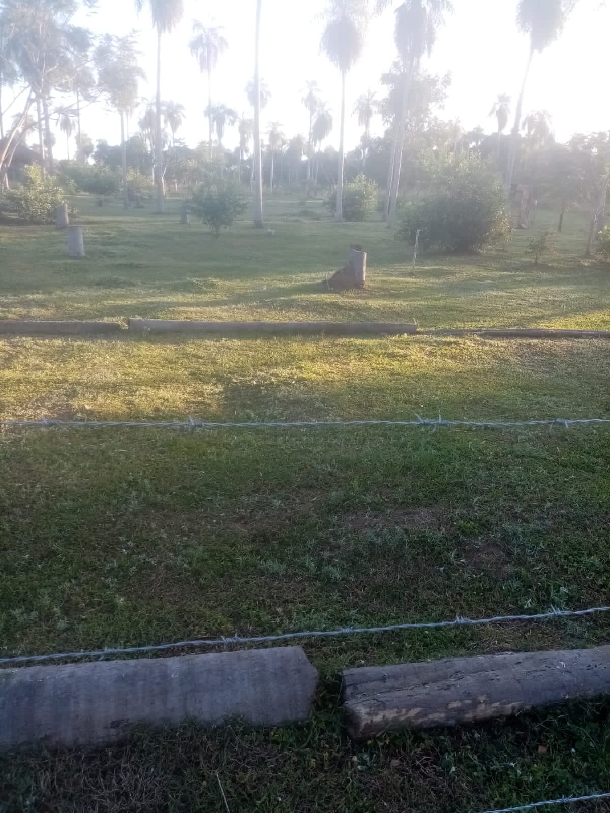 Vendo Terreno En Altos — foto 3