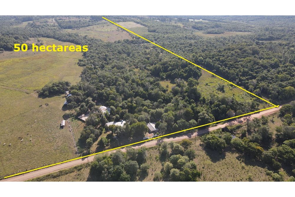 Quinta-Venta-Nueva Alborada, Nueva Alborada, Itapúa — foto 3