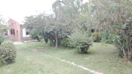 Hermosas!!! S/camino América