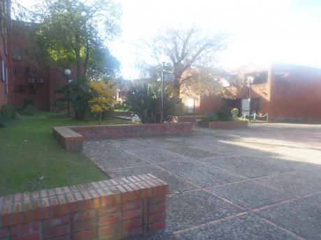 Divino En Cooperativa Vicman