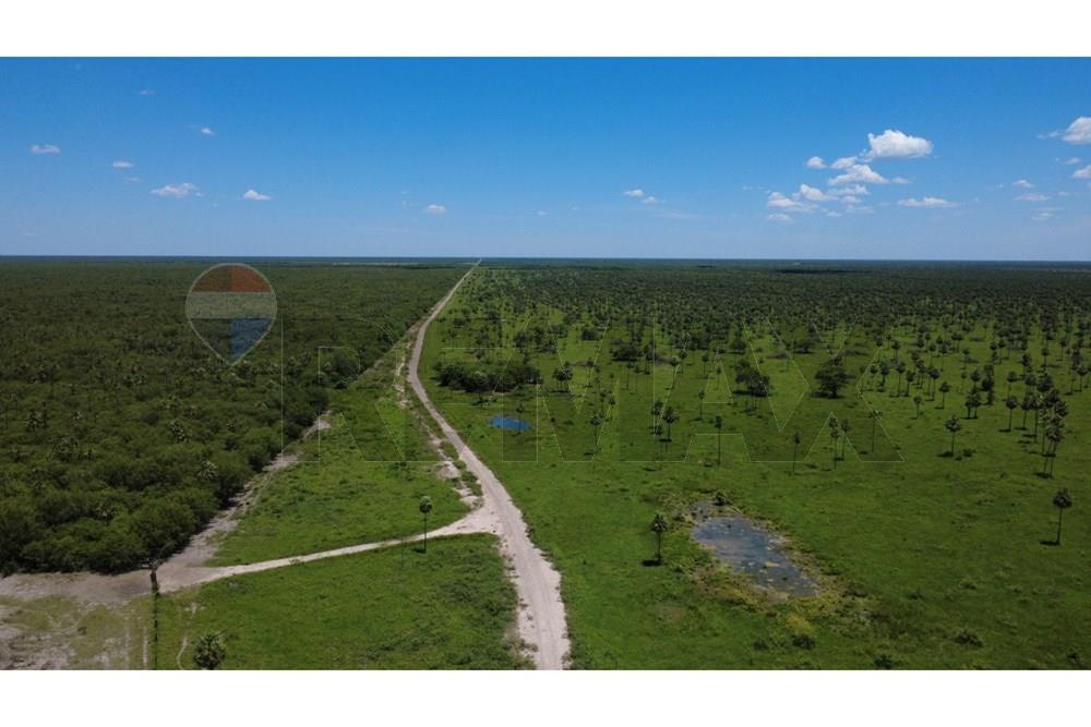 VENDO ESTANCIA FORMADA EN FORTIN CABALLERO PRESIDENTE HAYES — foto 2