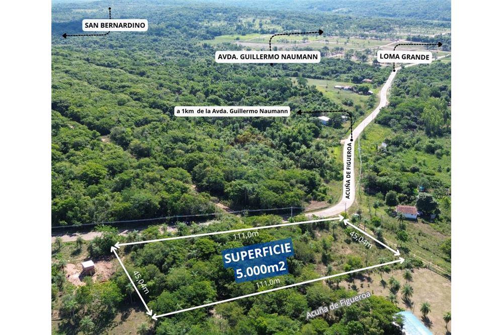 VENDO TERRENO EN ALTOS — foto 3
