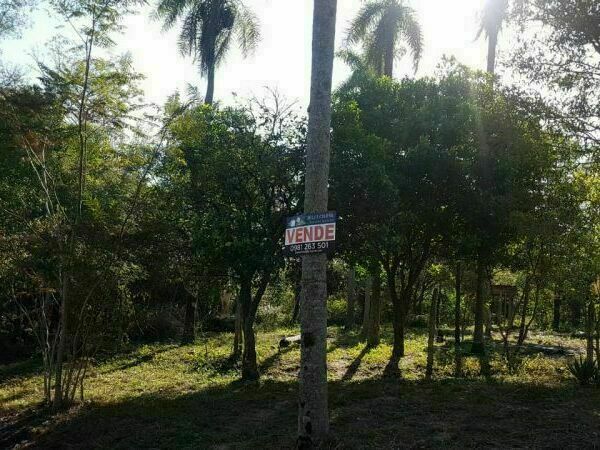 TERRENO EN VENTA LA SUIZA — foto 2