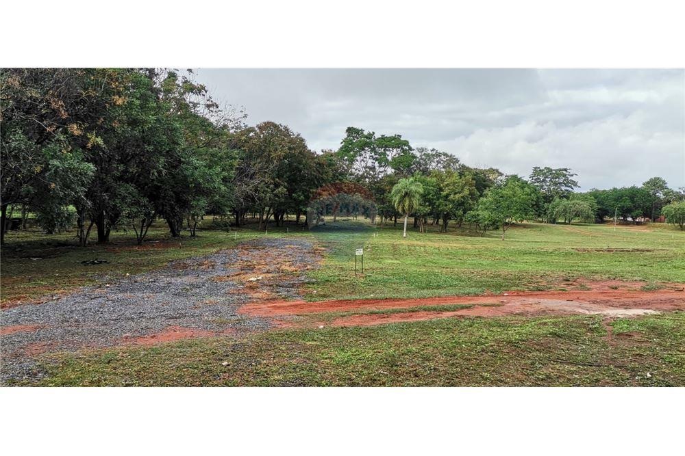 Terrenos Con Financiamiento Propio En Villa Elisa — foto 3