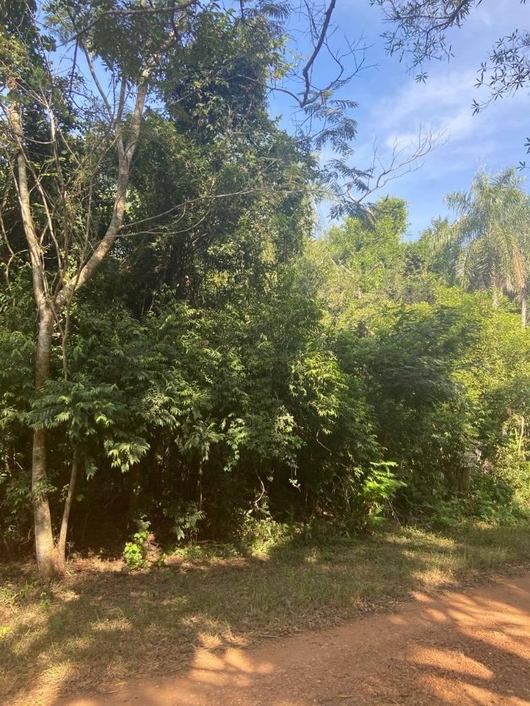 VENTA DE TERRENO EN EL CORTIJO  SAN BERNARDINO — foto 2