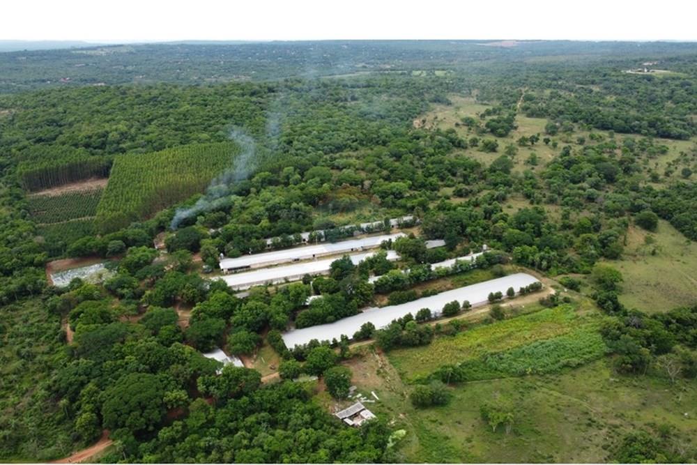 VENTA DE GRANJA AVICOLA EN LA CIUDAD DE ALTOS — foto 2