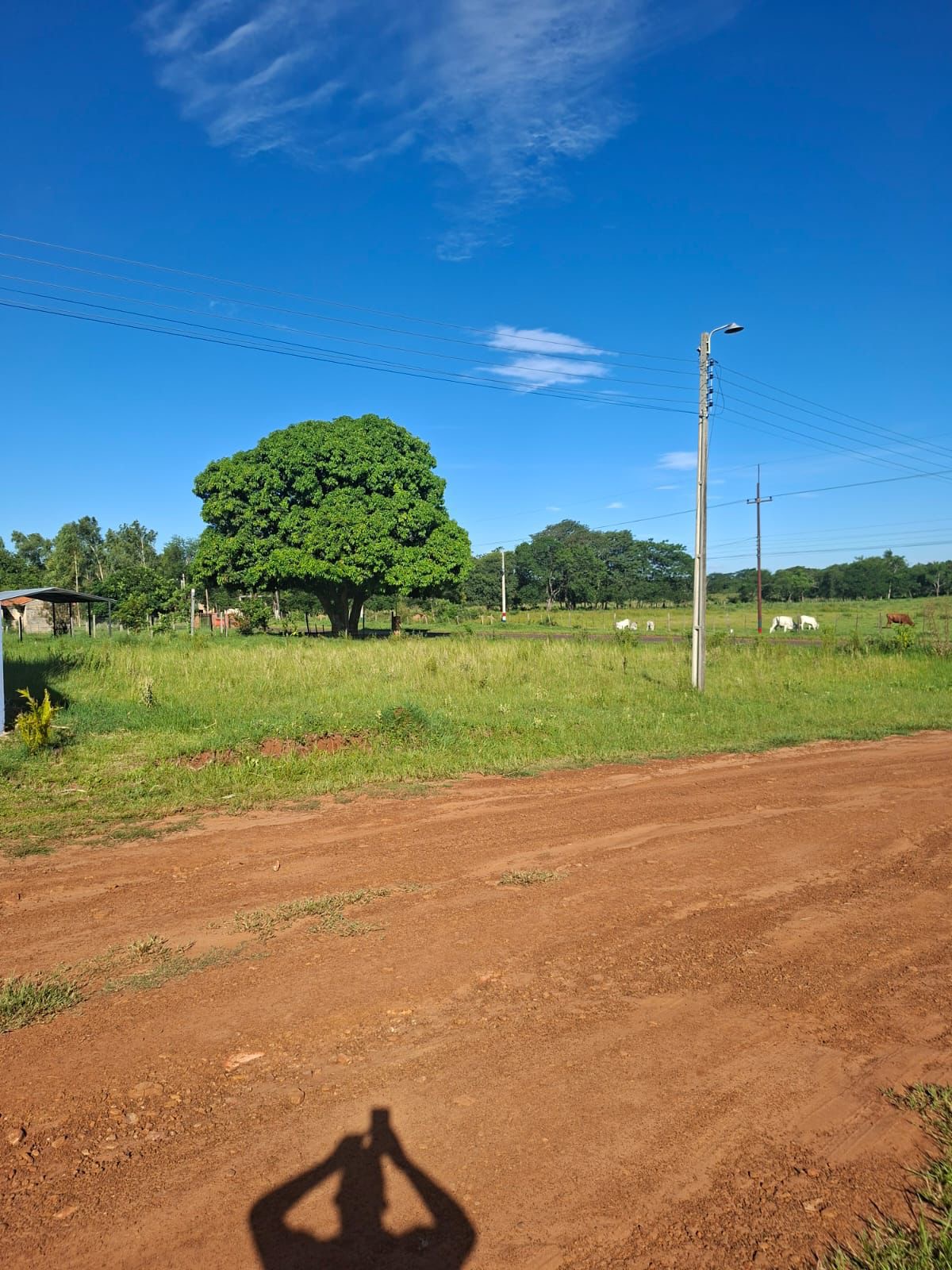 Vendo terreno en esquina sobre la Ruta Eusebio Ayala – Primero de Marzo — foto 3