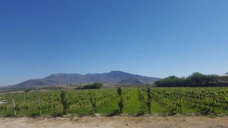Hermosa Propiedad En Venta Sobre La Ruta Del Vino,