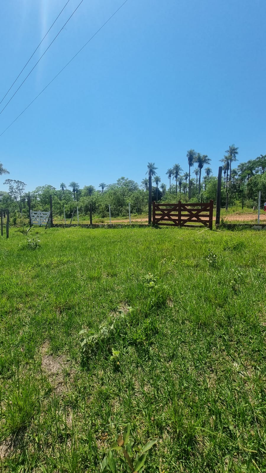 TERRENO en Nueva Colombia — foto 2