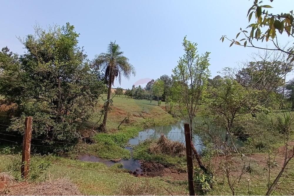 VENDO CAMPO EN MINGA GUAZO MONDAY 46 HECTAREAS — foto 3