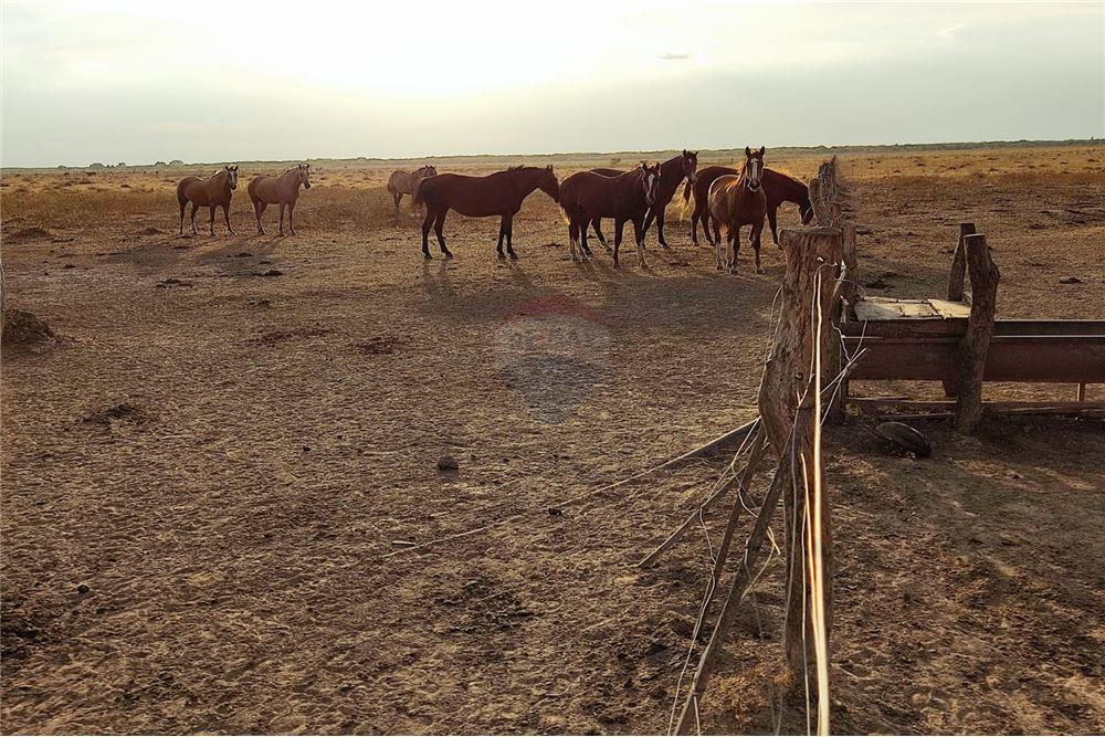 ESTANCIA EN VENTA DE 1.500 Ha. - DPTO. VILLA HAYES — foto 3