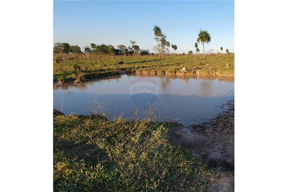 VENDO 60 HECTAREAS EN SANTA ROSA CURUGUATY — foto 2