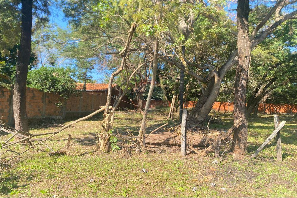TERRENO 399M2 A PASOS DEL CENTRO DE SAN LORENZO — foto 3