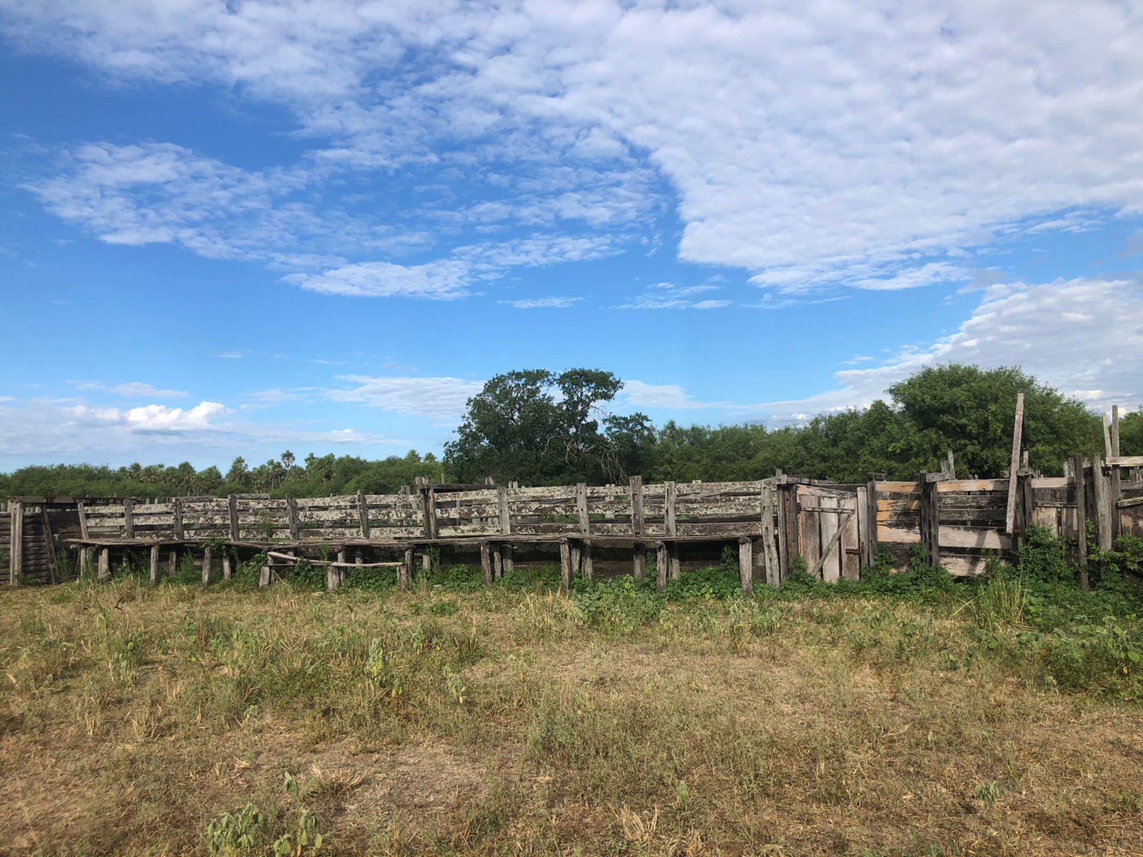 Campo en venta en Fuerte Olimpo — foto 2