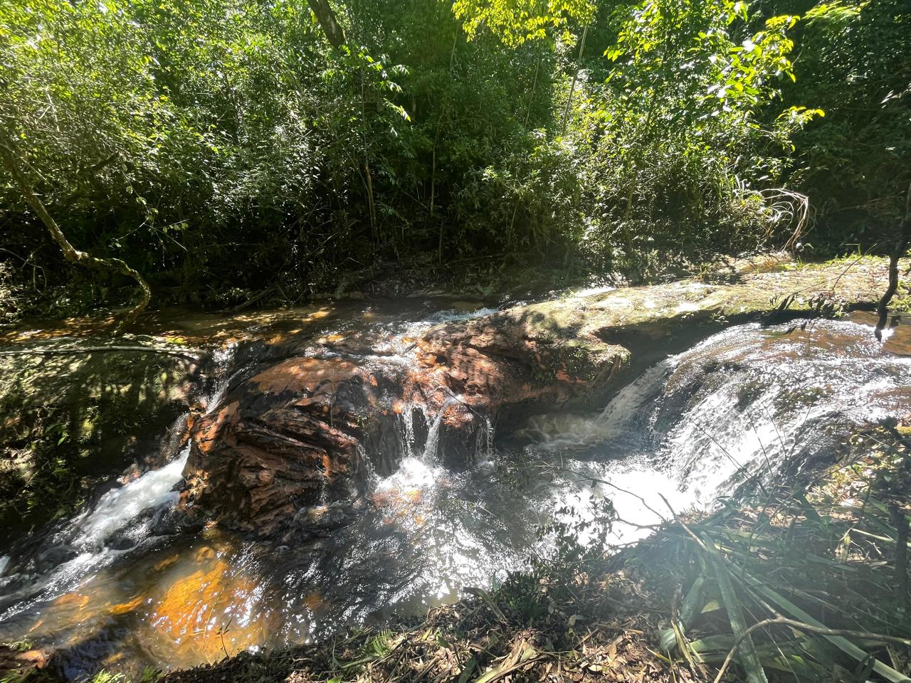 Campo en venta en San Estanislao — foto 3