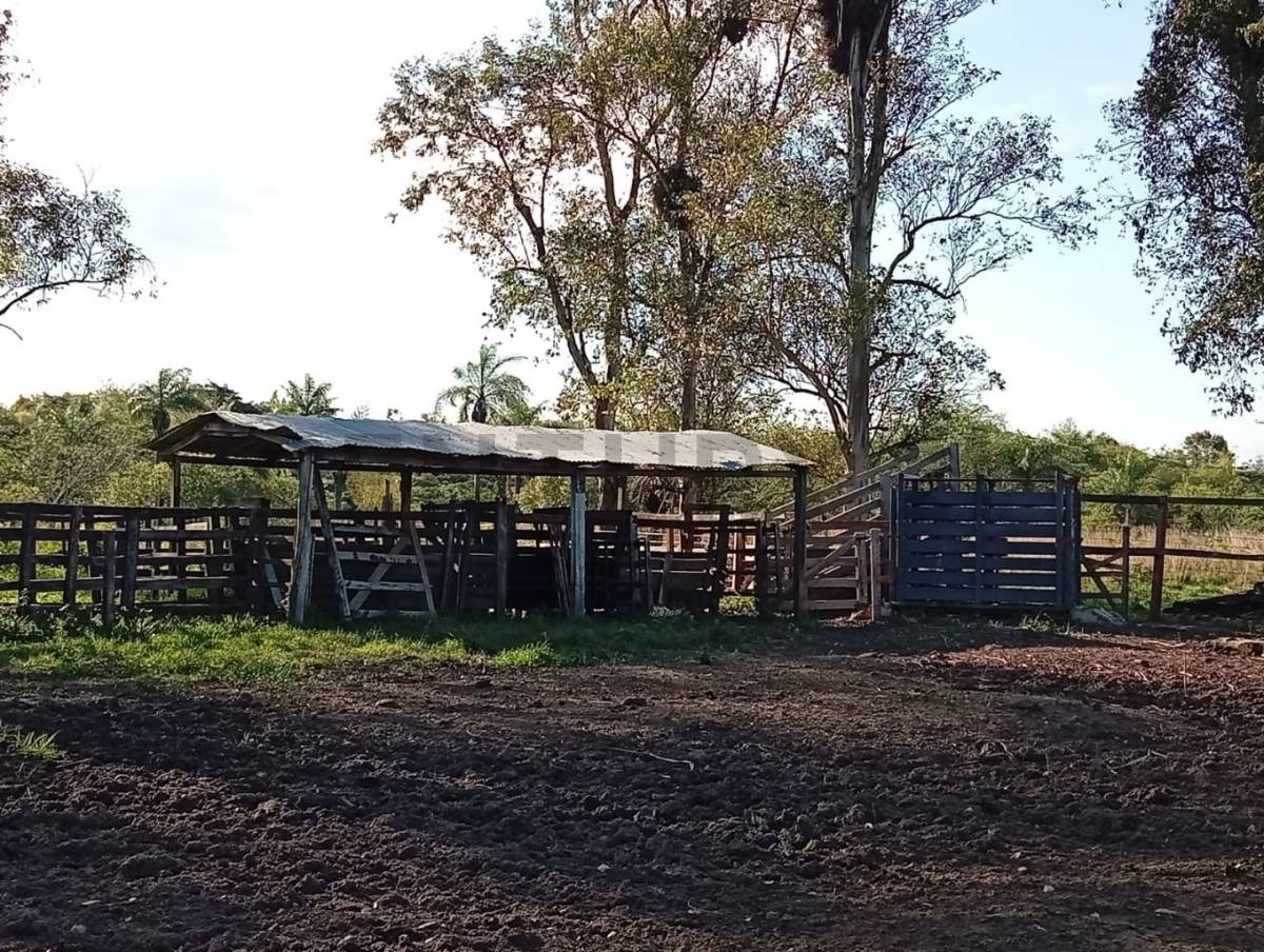 Vendo propiedad Ganadera y Agricola en Ybycui - Paraguari — foto 2