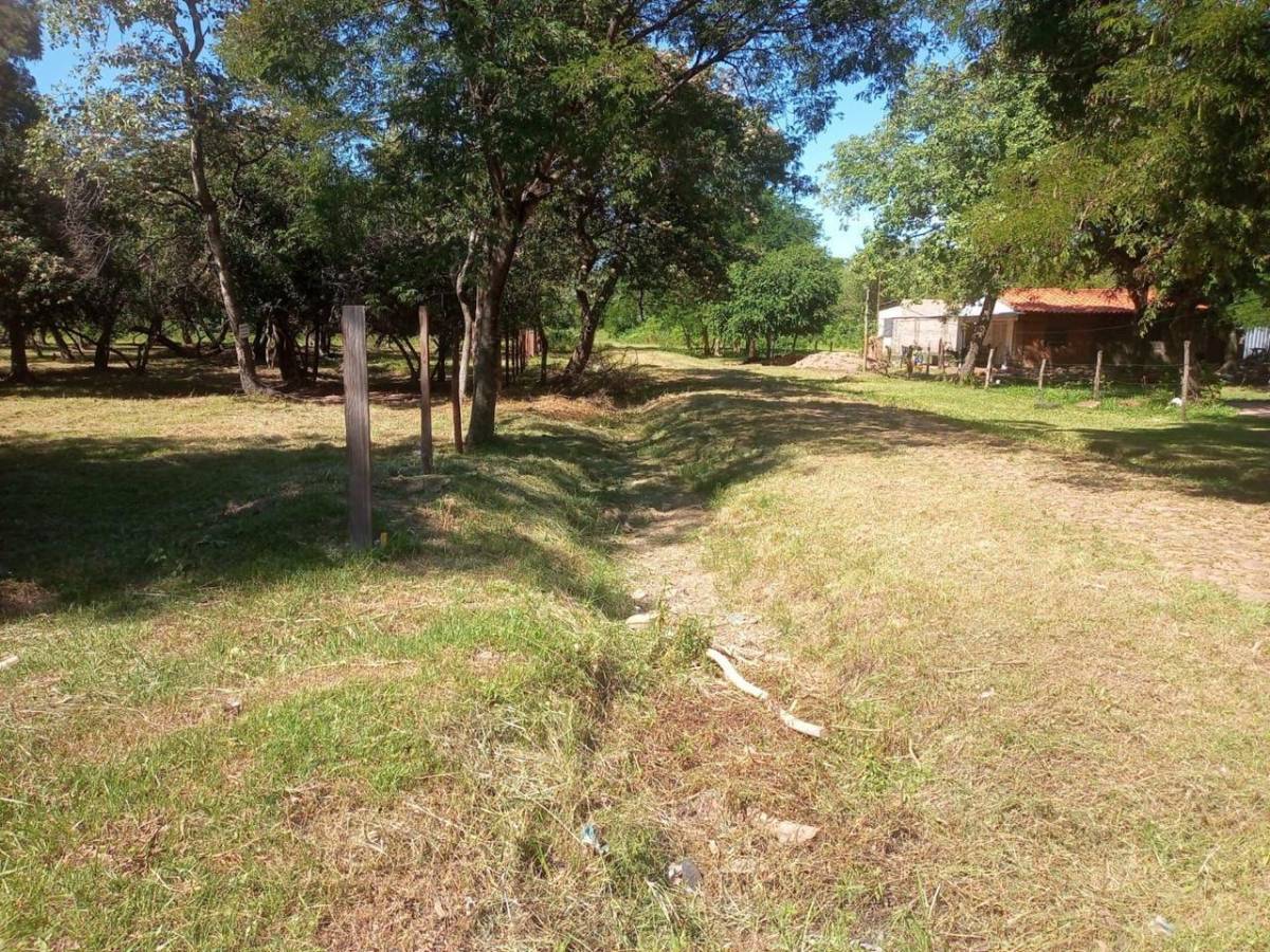 VENDO TERRENO EN SAN BERNARDINO — foto 2