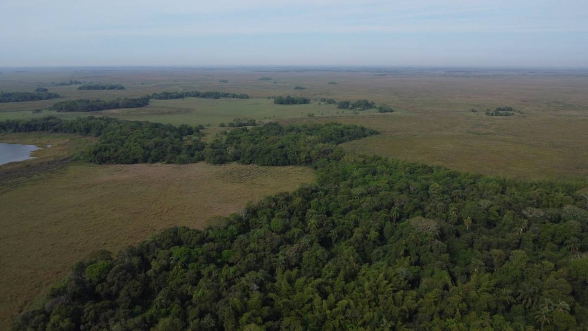 EN VENTA CAMPO DE 1.215 HECTÁREAS EN ÑEEMBUCU — foto 2