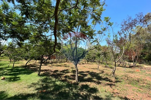 TERRENO EN VENTA, ATYRA — foto 3