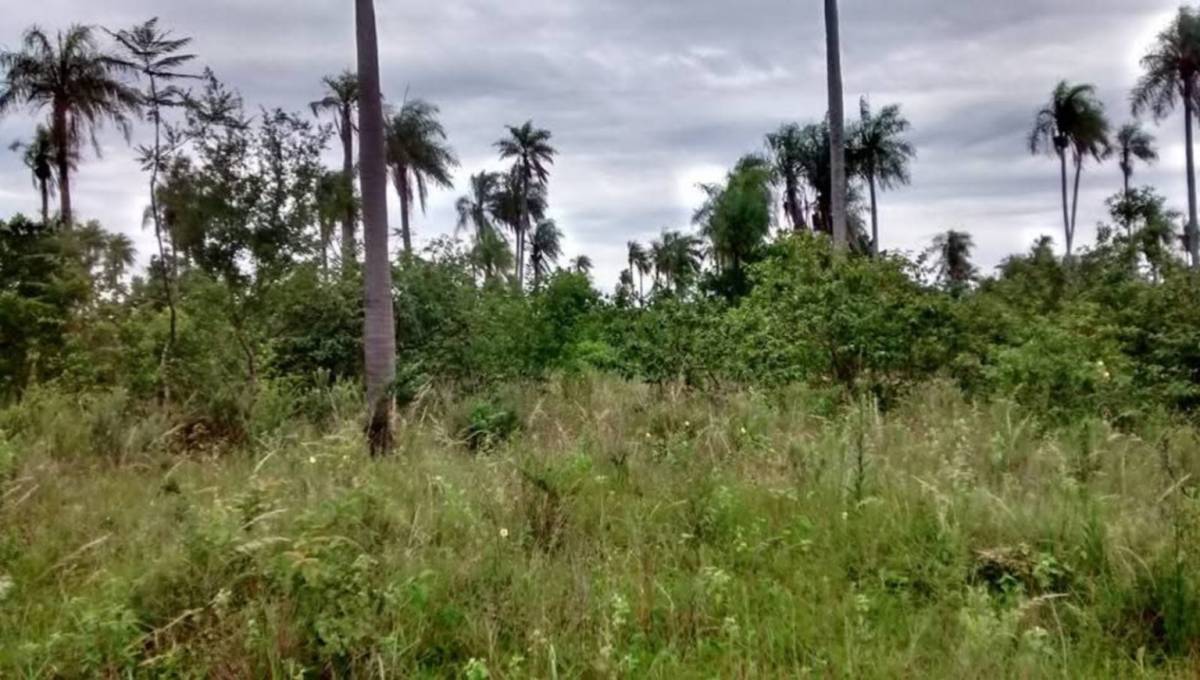 TERRENO EN ATYRA — foto 2