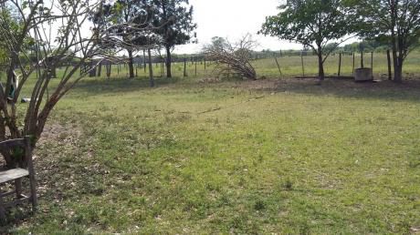 Vendo Campo De 3.600 Hectareas - Chaco Paraguayo