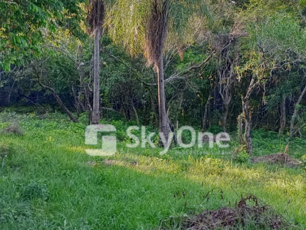 VENDO HERMOSA PROPIEDAD EN EL LIMITE ENTRE SAN BERNARDINO Y NUEVA COLOMBIA — foto 3