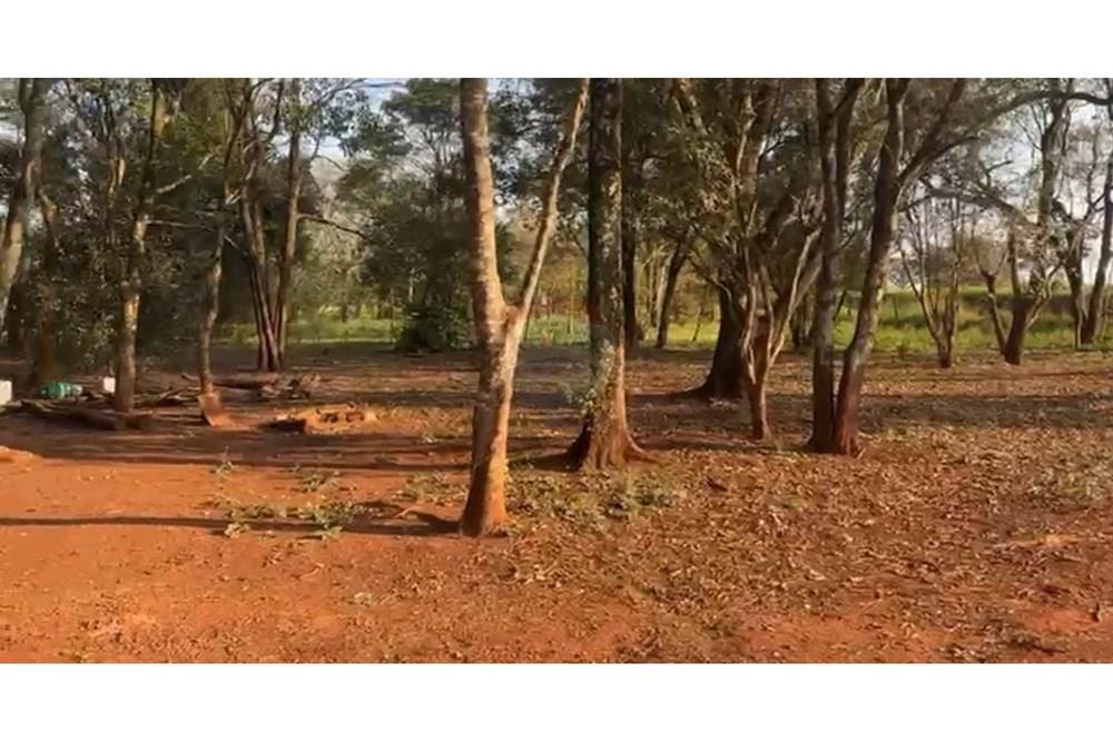VENDO TERRENO HECTAREAS AGRICOLAS EN MINGA GUAZU KM 16 — foto 2