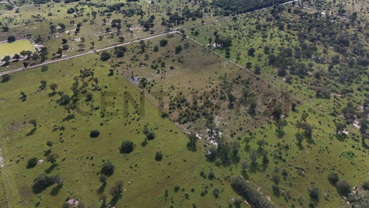 Venta de Estancia/Ganadera en José Falcón — foto 2