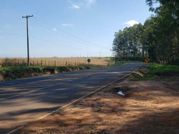 VENDO PROPIEDAD RURAL 208 HECTAREAS — foto 2