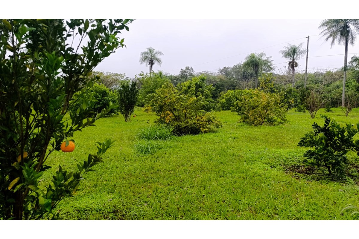 Terreno en venta de 11 hectáreas + 9.000 m² — foto 3