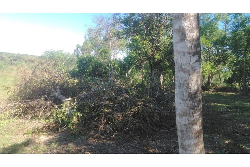 venta TERRENOS, 200 mts de ruta Loma Grande - Altos — foto 3