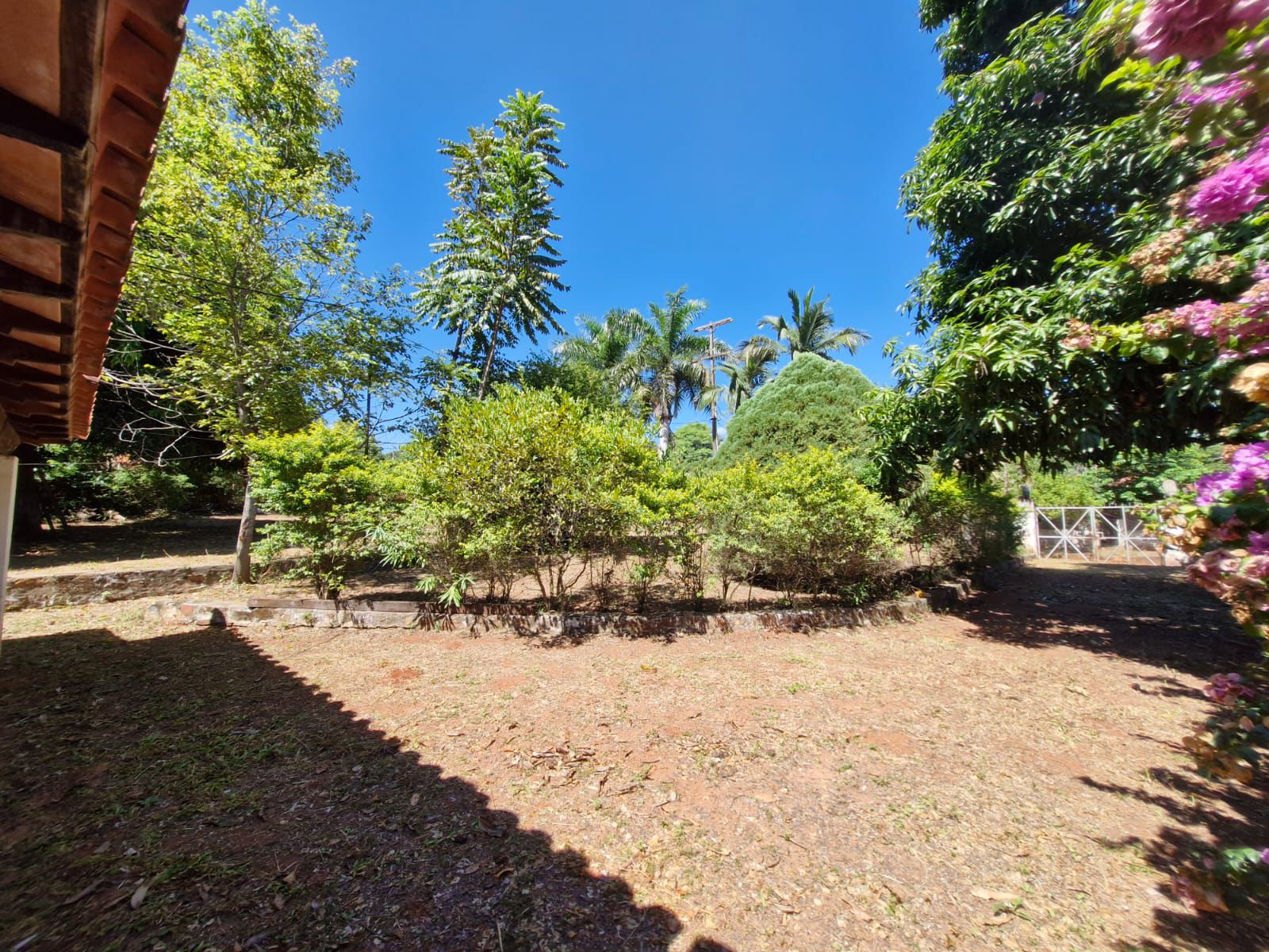 VENDO AMPLIO TERRENO EN PIRIBEBUY — foto 2