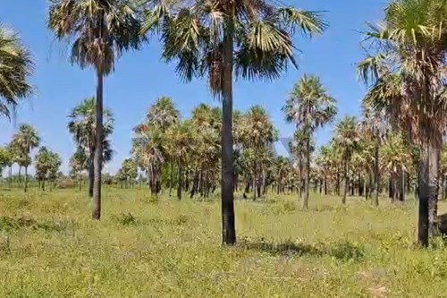 TERRENO EN VENTA, VILLA HAYES — foto 2