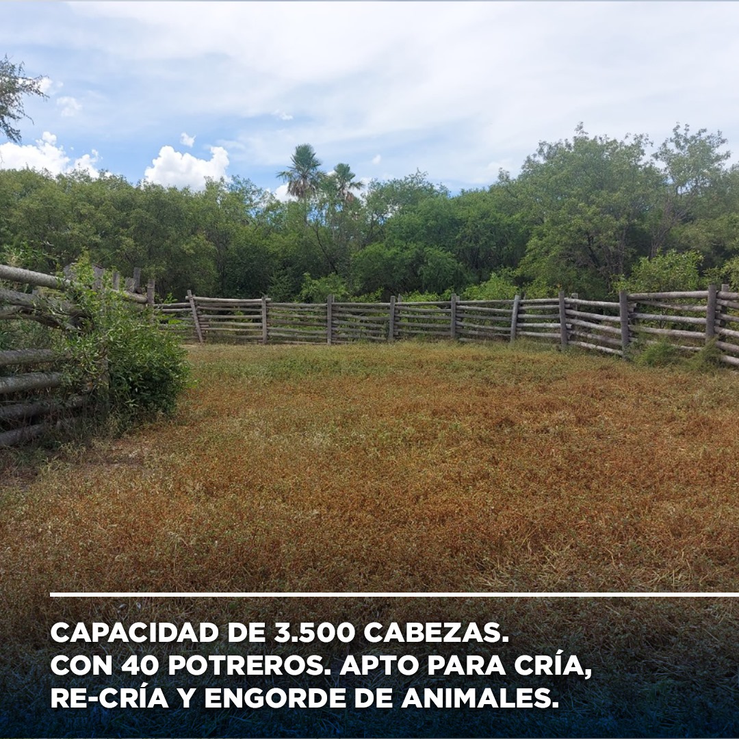 Estancia de 7.500 hectáreas en Villa Hayes! — foto 3