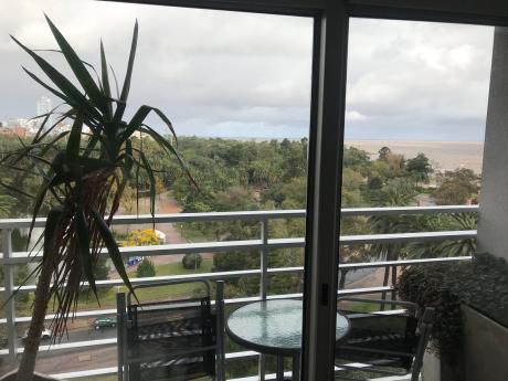 Gran Vista Y A Pasos De Todo