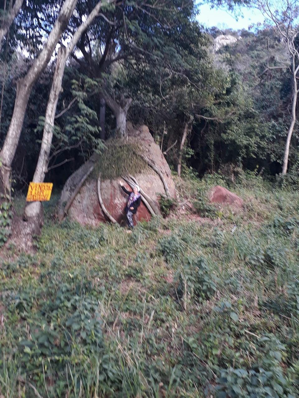 Vendo 2 terrenos juntos  en Yaguaron — foto 3