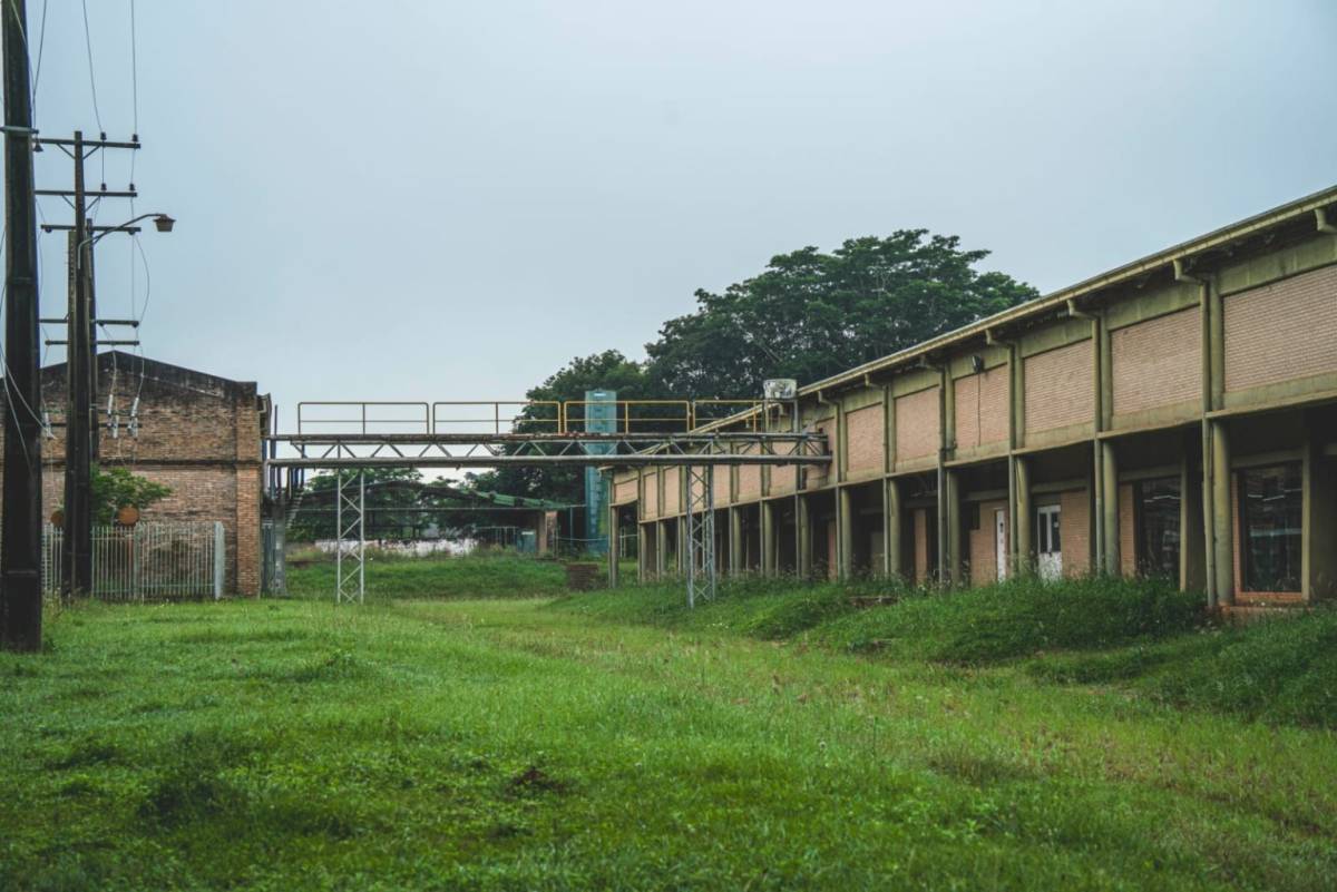 Plataforma Industrial Farmacéutica Multipropósito — foto 3