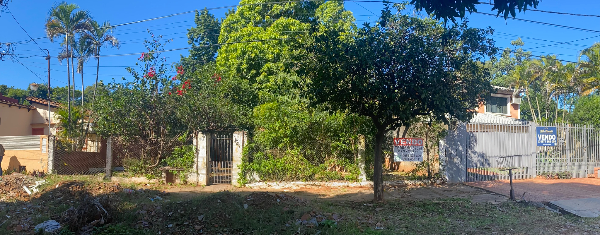 Asunción: amplio terreno arbolado de 15,27 m. x 37,50m. — foto 2