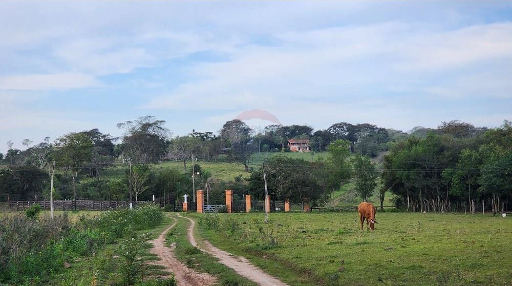 VENDO ESTANCIA GANADERA Y AGROPECUARIA EN PARAGUARÍ — foto 2