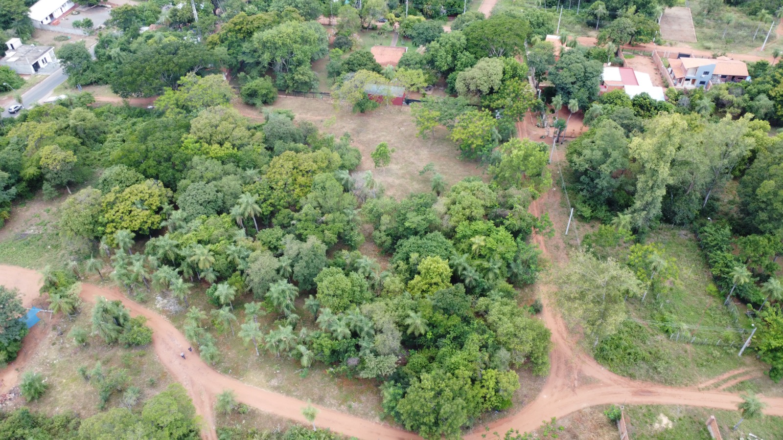 Vendo Terreno Rural de 200 Hectáreas en RI3 Corrales - Dpto de Caaguazú — foto 2