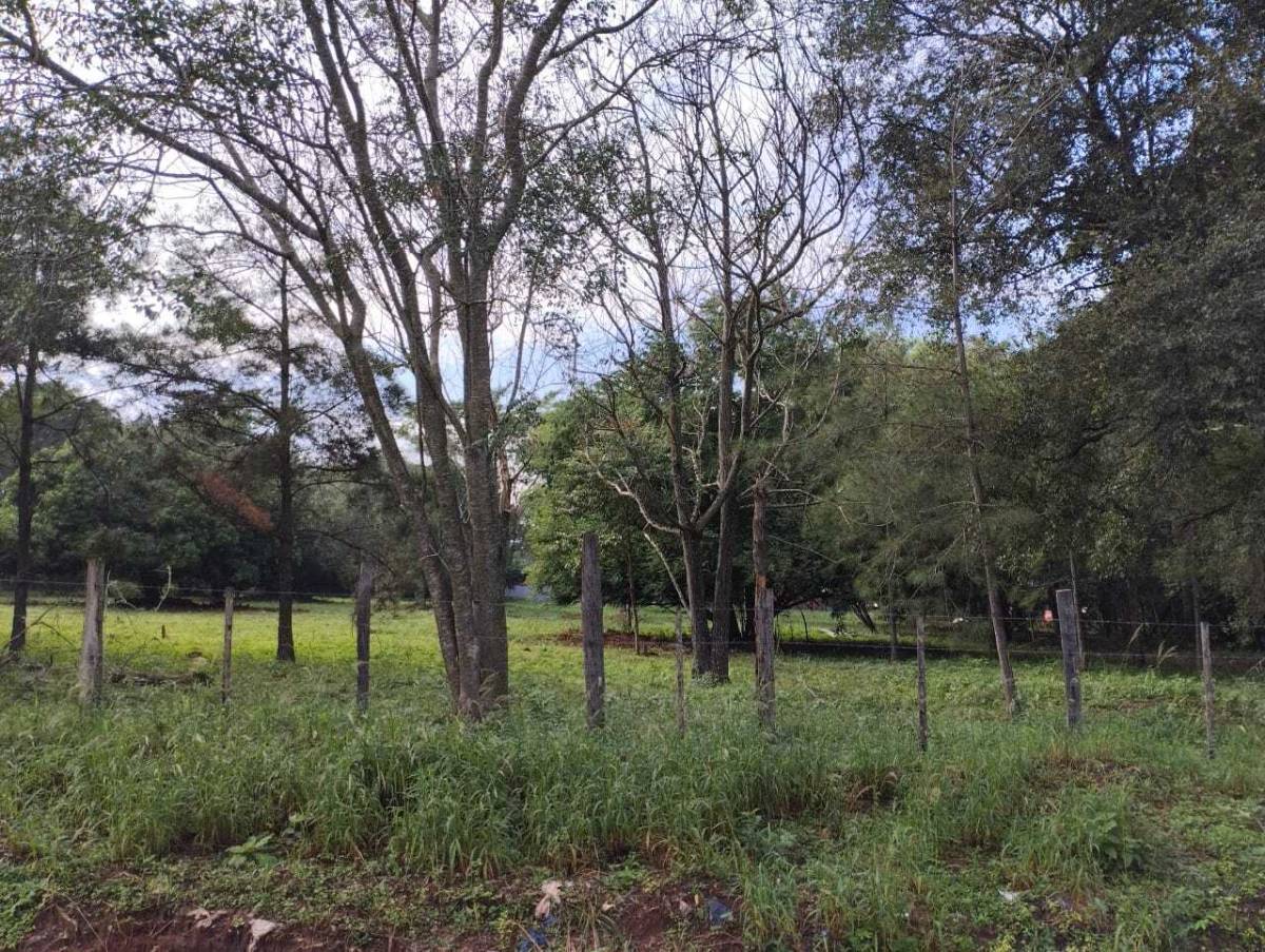 Terreno 12.404 m² zona Palacio de Justicia | Luque — foto 2